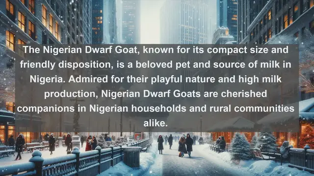 Video thumbnail for Nigeria's Pet Paradise: Exploring the Top 10 Beloved Companions!