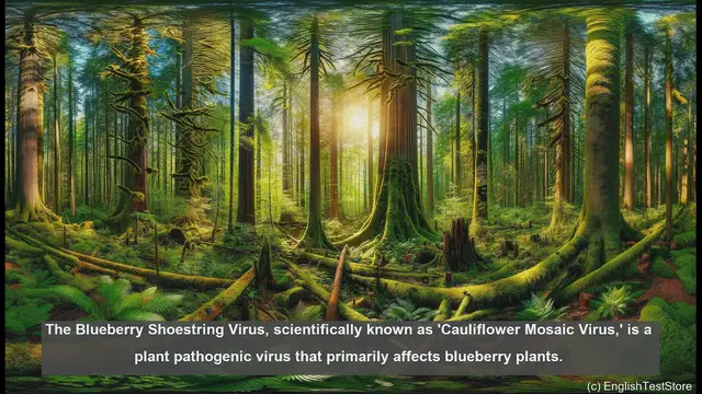 Video thumbnail for Blueberry shoestring virus in biology