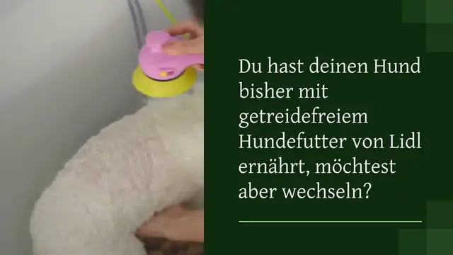 Video thumbnail for Test: bester Ersatz für Lidl Hundefutter getreidefrei (2024)