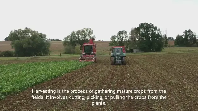 Video thumbnail for The Harvesting Process - A Comprehensive Guide