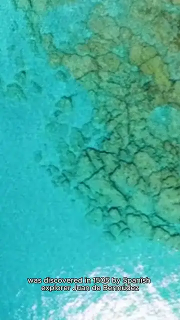 'Video thumbnail for Bermuda'