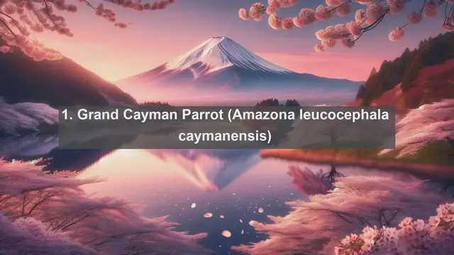 Video thumbnail for Wings of Paradise: Discover the Top 10 Native Birds in the Cayman Islands