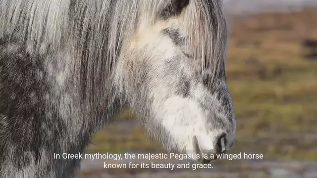 Video thumbnail for Comparing Mythical Creatures Across Cultures