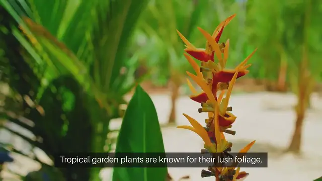 Video thumbnail for Tropical Garden Plants To Grow At Home
