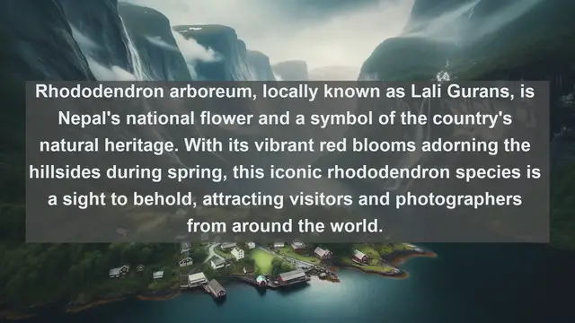 Video thumbnail for Unveiling Nepal's Natural Marvels: Top 10 Native Flora Revealed!