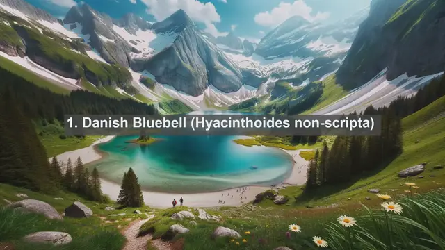 Video thumbnail for Exploring Denmark's Botanical Gems: Top 10 Native Flora Species