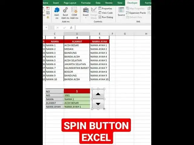 Video thumbnail for SPIN BUTTON EXCEL | CARA MEMASANG SPIN BUTTON DI EXCEL