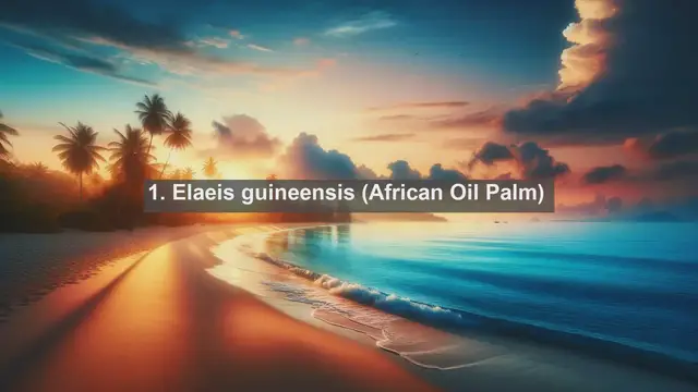 Video thumbnail for Unveiling Nigeria's Botanical Treasures: Top 10 Native Plants You Must Know