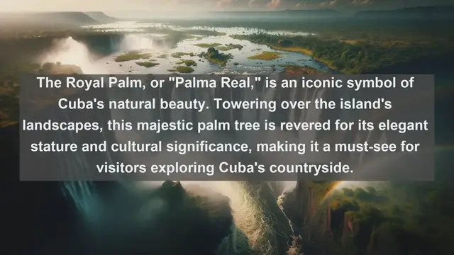 Video thumbnail for Unveiling Cuba's Natural Treasures: Top 10 Native Plants
