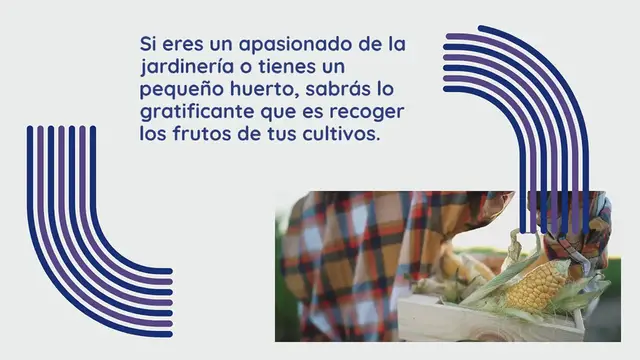 Video thumbnail for Si desea cosechar inmediatamente los beneficios de la siembra, aquí están las siembras más rápidas.
