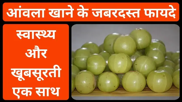 'Video thumbnail for आंवला खाने के फायदे | आंवला खाने से क्या होता है | आंवला खाने का फायदा बताएं | amla khane ke fayde'