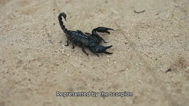 Video thumbnail for scorpio dates