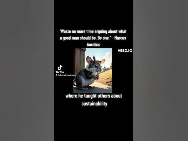 Video thumbnail for "Waste no more time arguing about what a good man should be. Be one." - Marcus Aurelius