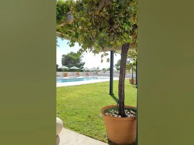 Video thumbnail for IBIZA LIFESTYLE | 🏝️