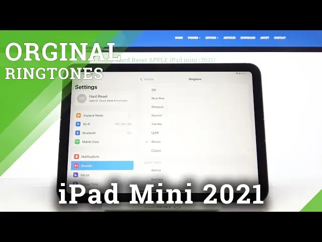 Video thumbnail for Ringtones on iPad Mini 2021 | Check Out List of Available Ringtones on APPLE iPad Mini