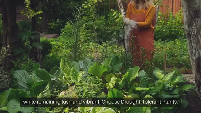 Video thumbnail for How To Create A Water-Wise Garden