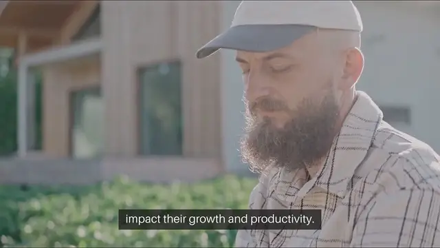 Video thumbnail for Planting Based On Sun