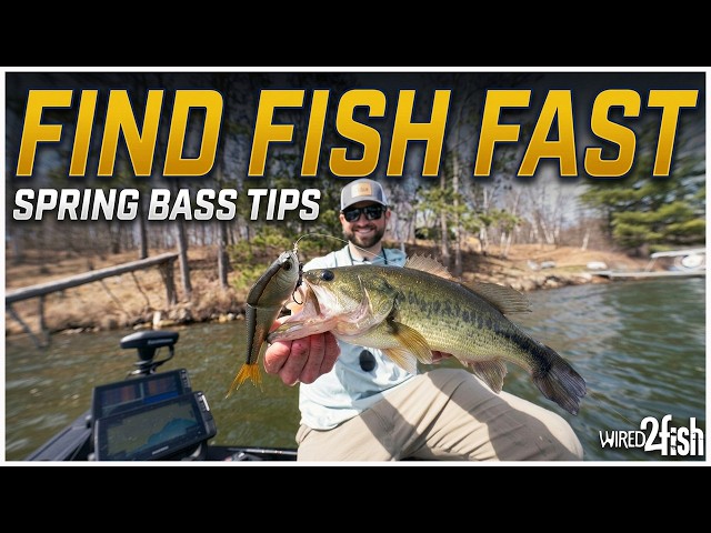 Video thumbnail for Spring Bass Fishing Breakdown That Finds Fish Fast