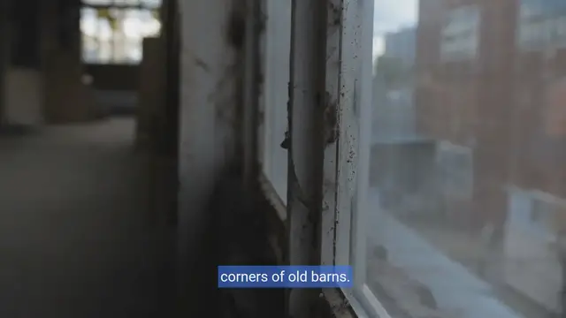 Video thumbnail for Hidden Treasures:Unveiling the Greatest Barn Finds in Automotive History