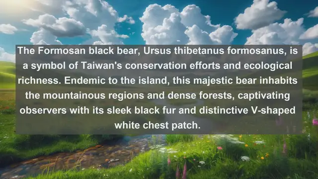 Video thumbnail for Exploring Taiwan's Wildlife Wonders: Top 10 Native Animals You Need to See