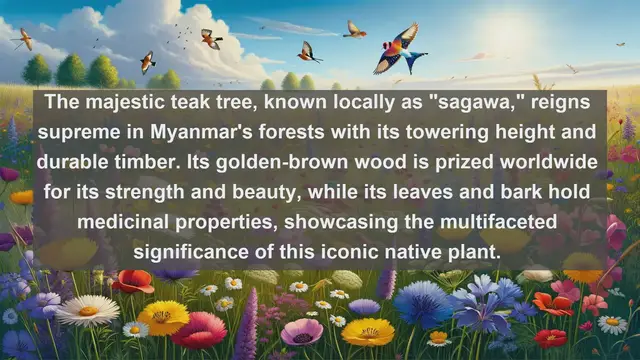 Video thumbnail for Unveiling Myanmar's Botanical Wonders: Top 10 Native Plants Revealed