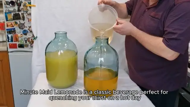 Video thumbnail for Minute Maid Lemonade Recipe