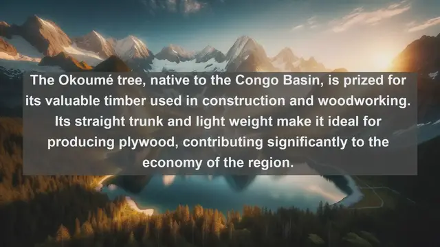 Video thumbnail for Exploring Congo's Natural Wonders: Top 10 Native Flora Revealed