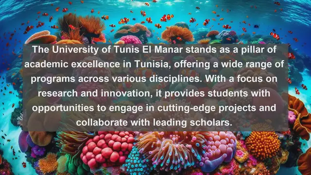Video thumbnail for Unveiling Academic Excellence: Top 10 Universities in Tunisia