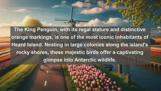 Video thumbnail for Top 10 native birds in Heard Island