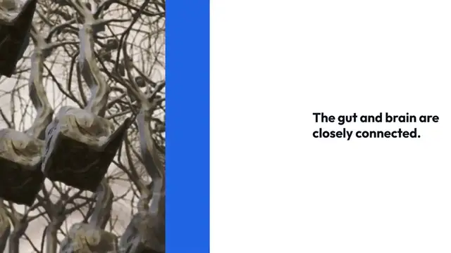 'Video thumbnail for Gut_Health_and_Mood_Boost'