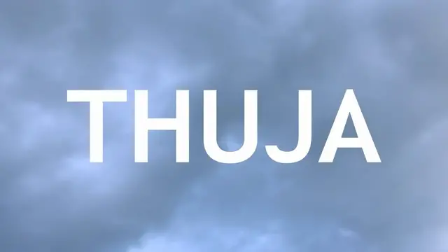 Video thumbnail for Thuja Bonsai, From an Airlayer, 1