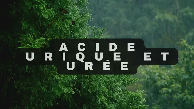 Video thumbnail for Acide urique et urée video