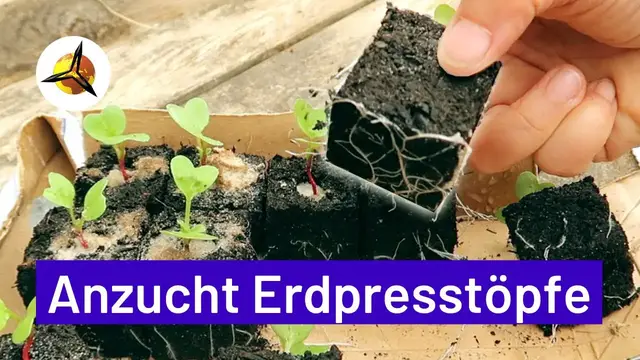 Video thumbnail for Erdpresstöpfe: Anzuchttöpfe selber machen