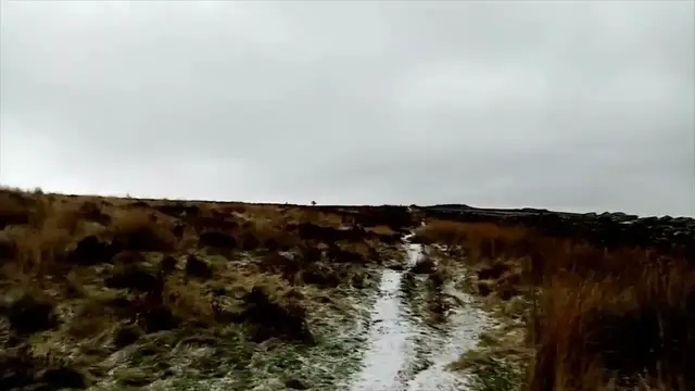 Video thumbnail for Making use of the weather to get a young spaniel familiar with different conditions