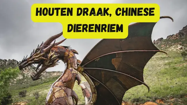 Video thumbnail for houten draak, chinese dierenriem