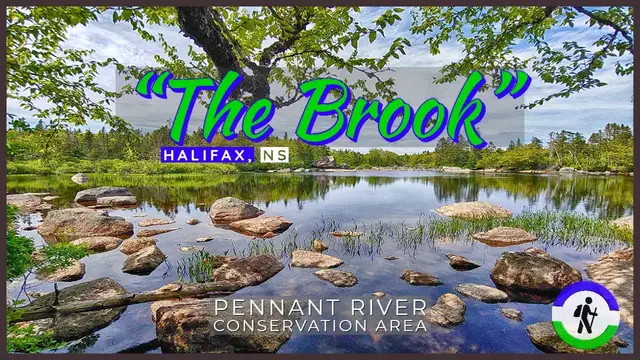 Video thumbnail for "The Brook" - Pennant River Conservation Lands in Halifax, NS