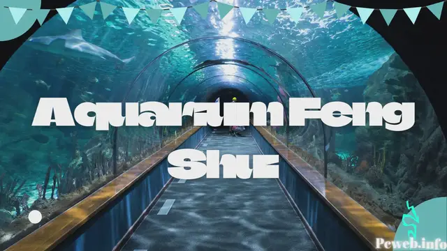 Video thumbnail for Aquarium Feng Shui-en