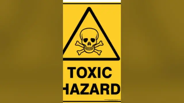 'Video thumbnail for Is The Jade Plant Toxic to Humans and Pets? 4 Facts You Need To Know Before You Have It (2023)'