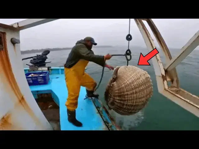 Video thumbnail for Fisherman Pulls Giant Clam from the Ocean, Immediately Regrets It