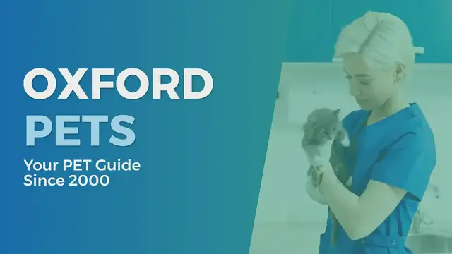 Video thumbnail for Oxfordpets