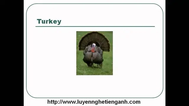 Video thumbnail for Learn English Vocabulary Through Pictures - Topic - Animals Lesson 09