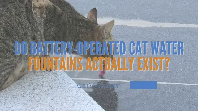 Video thumbnail for DO BATTERY OPERATED CAT WATER FOUNTAINS ACTUALLY EXIST