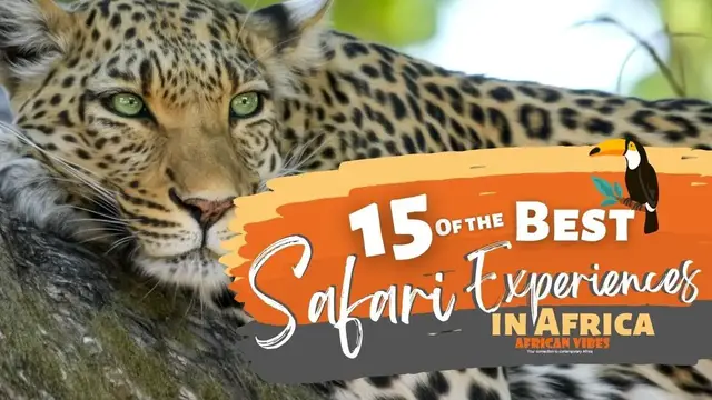 Video thumbnail for 15 Of the Best Safari Experiences in Africa, Travel Guide African Vibes #travel #tour #travelguide