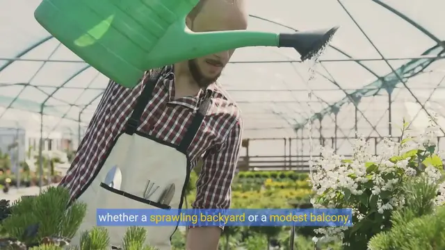 Video thumbnail for Beginner's Guide to Vegetable Gardening:From Soil to Harvest