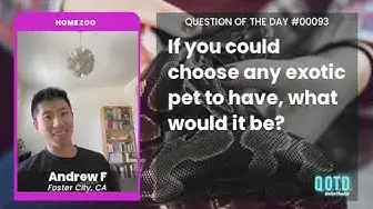 Video thumbnail for Andrew's using his pet lion for a very important (and hilarious) purpose.