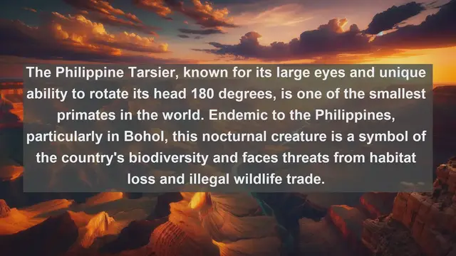 Video thumbnail for Exploring Philippine Biodiversity: Top 10 Native Fauna You Need to Know