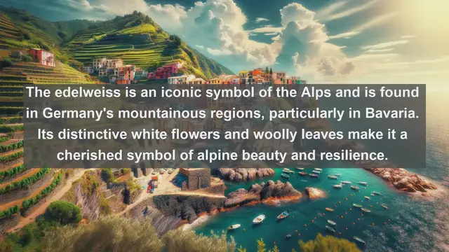 Video thumbnail for Discovering Germany's Natural Gems: Top 10 Native Plants Revealed!