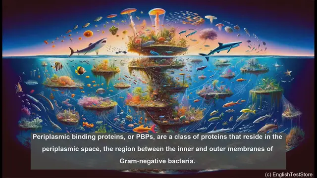 Video thumbnail for Periplasmic binding protein in biology