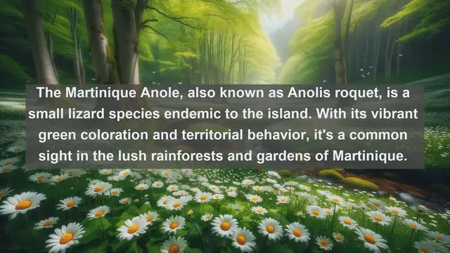 Video thumbnail for Discovering Martinique: Top 10 Native Animals of the Island Paradise