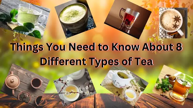 Video thumbnail for Things You Need to Know About 8 Different Types of Tea || Pro Food Recipes